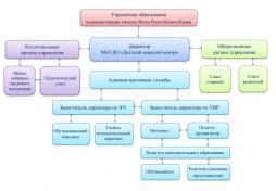 Структура и органы управления МБУДО "ДМЦ"